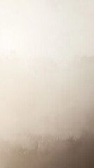 Misty Morning Landscape 