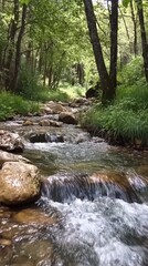 Serene Forest Stream: A tranquil stream meanders through a lush forest, its gentle waters flowing over smooth rocks. Sunlight filters through the canopy, creating a peaceful and idyllic scene. 