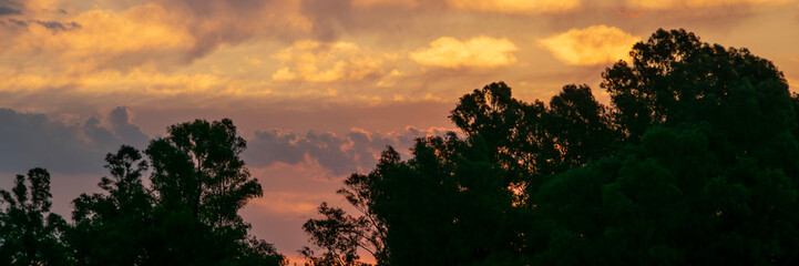 Sunset silhouette forest landscape, los cerrillos, canelones, uruguay