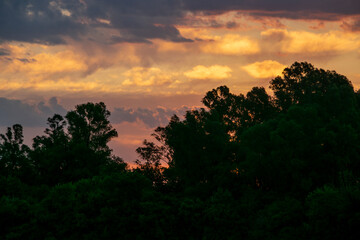 Sunset silhouette forest landscape, los cerrillos, canelones, uruguay