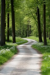 Naklejka premium A road with trees on both sides and a white line down the middle. The road is lined with trees and the grass is green