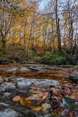 Suuctu waterfalls in Mustafakemalpasa, Bursa