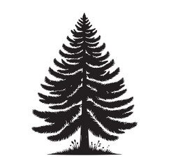 pine tree silhouette vector illustration