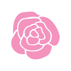 Pink rose flower on white background, logo, icon for design