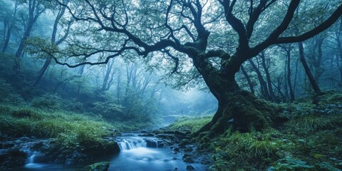 Twilight mystical forest with twisted tree