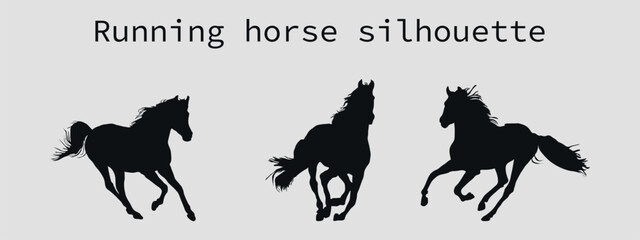 A set of black silhouettes of a sports horse. Vector on black background	