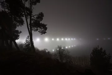 Fototapete Foggy night landscape with silhouettes of pine trees and lights in the background © Дмитрий Осиев