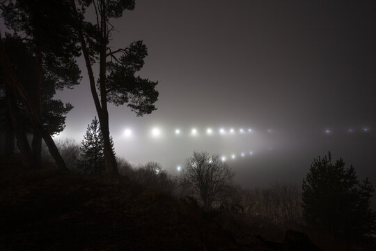 Foggy night landscape with silhouettes of pine trees and lights in the background