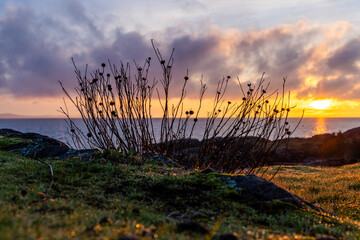 Serene Sunrise Over Victoria on Vancouver Island in British Columbia
