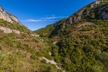 Fototapeta premium A breathtaking view of a deep canyon with towering cliffs on either side, lush green vegetation, and a clear blue sky
