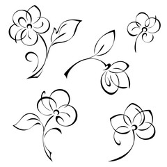stylized flowers of the same family on a short stem with a leaf; graphic decor, set