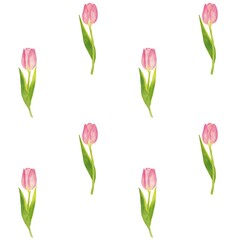 Pink tulip, watercolor flower, seamless floral summer seamless pattern, hand-painted watercolor on textile abstract art with watercolor texture.