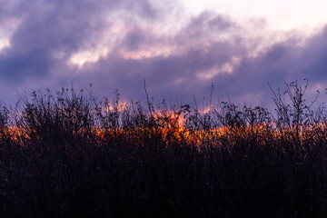 Stunning Sunrise Over Fields in Victoria, Vancouver Island, BC