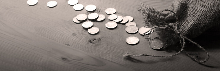 Silver coins in the bag