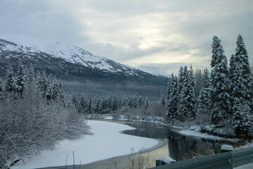 winter landscape with snow covered trees