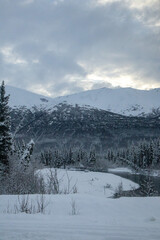 snow covered mountains