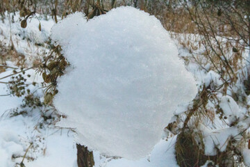 snow covered trees in winter
