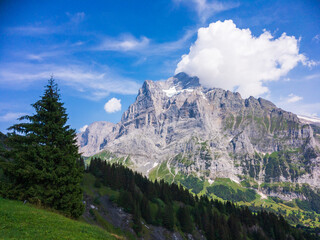 Alpine landscape with views of the peak of Wetterhorn in Grindelwald, Bernese Oberland, Switzerland
