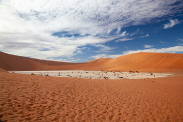 Deadvlei at Sossusvlei in Namibia, Africa