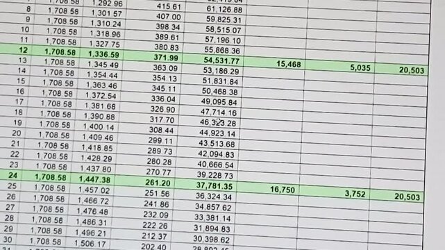 Footage of the excel sheet on computer screen showing bank loan amortization table. Finance