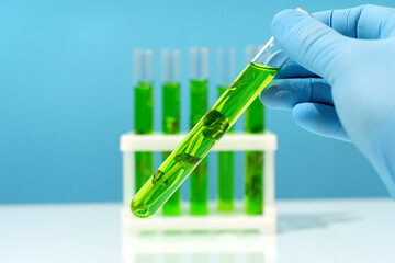 Biotechnology lab. Plant sprout in a test tube. Scientific laboratory and bioengineering