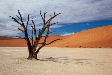 Deadvlei at Sossusvlei in Namibia, Africa