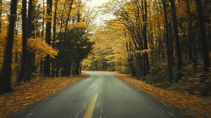Obraz premium Driving through autumn-colored forests on a peaceful country road.