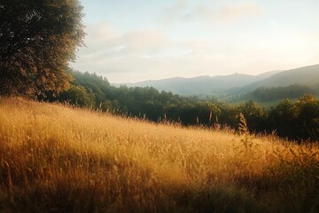 Naklejka premium Golden fields stretch across rolling hills under a soft morning light in a serene landscape
