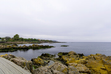 Obraz premium Coast line of sea. Stones covered with yellow and green moss and cloudy sky.