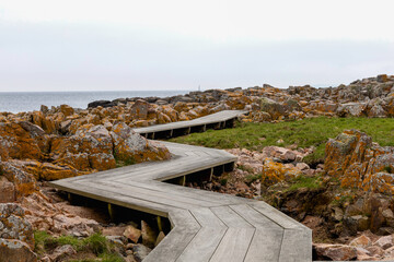 Coast line of sea. Stones covered with yellow and green moss and cloudy sky.