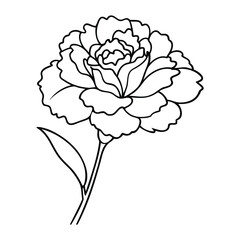 Black and white outline of a blooming carnation flower with detailed petals and a single leaf