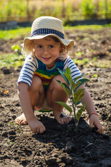 Child Planting a Tree. Selective Focus.