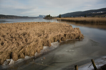 A La Tête du Lac au Sentier sur le Territoire de la Commune du Chenit en Janvier 2020 (Canton de...