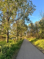 autumn in the park