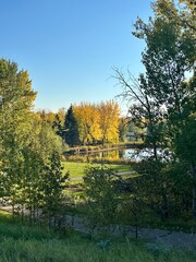 Fall Picture With A Pond 