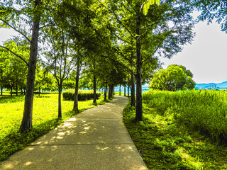 alley in the park