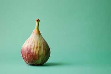 Rotten Fig Isolated on Green Background Showing Decay, Wrinkles, and Moldy Texture with Copy Space – Aged and Spoiled Fruit Depicting Organic Deterioration, Overripe Condition, and Food Waste