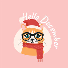 Hello december with cute cat, christmas santa claus, cat with glasses