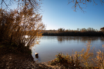 The river on a bright sunny day with a big blue sky