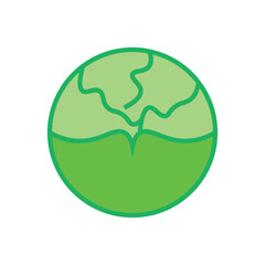 Cabbage flat icon, vegetables vector, natural fresh farm icon design illustration. 
