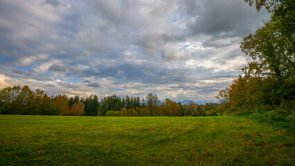 Fototapeta premium Landschaft mit Bäumen im Herbst