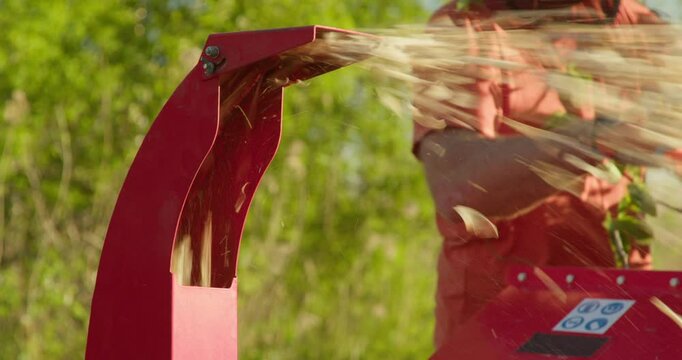 Wood chipper machine man use shredder tree branches close up