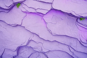 Fototapete Rund Serene aerial view reveals rocky gray desert landscape with muted purple hues and deep green vegetation under soft natural light © Natalia