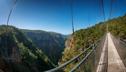 Obraz premium Breathtaking view from a suspension bridge high above a lush green canyon.