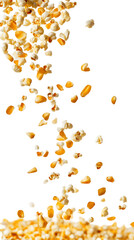 Vivid falling popcorn kernels captured in a detailed 3D animation, set against a blank white background.