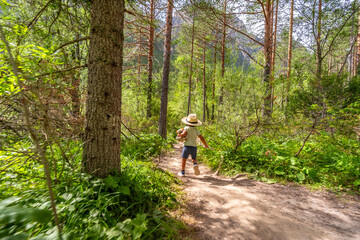 Obraz premium Child running on a path in a sunny forest