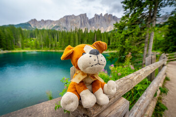 Plush dog enjoying the scenic view of lake carezza and the dolomites