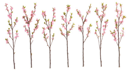 Decorative Pink Cherry Blossom Branches Arranged in a Line for Spring-Themed Home Decor or Event Styling