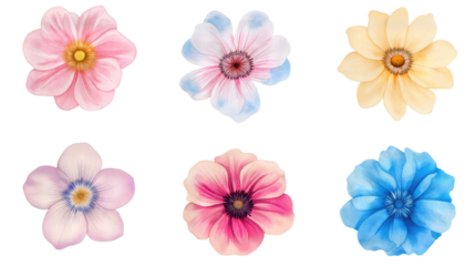 Vibrant Collection of Six Watercolor Flowers in Various Shades Showcasing Intricate Details and Diverse Colors in a Serene Arrangement