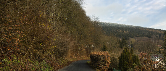 Ruhla - Breitenbergstrasse & Breitenberg mit Raureif